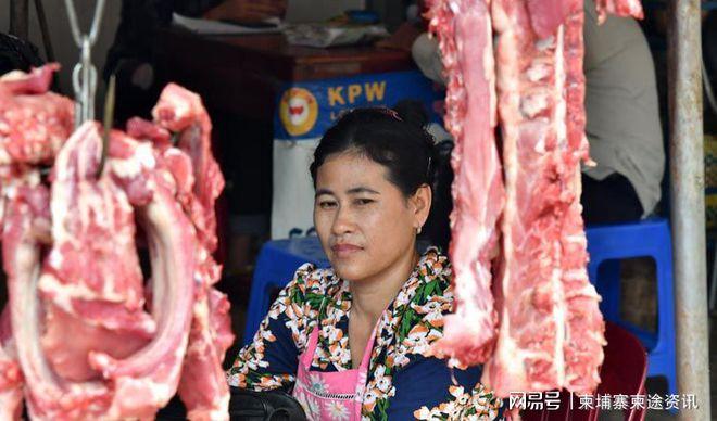柬埔寨牲畜饲养协会计划将猪价降至每公斤3美元，以稳定市场并扶持养殖户