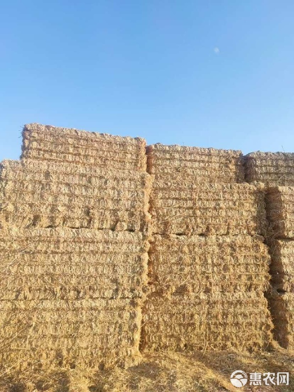 一级小麦秸秆在牲畜饲养中的应用与优势